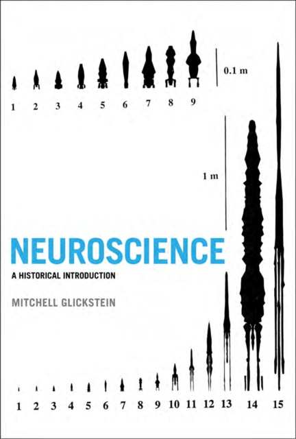 Neuroscience : A Historical Introduction, PDF eBook
