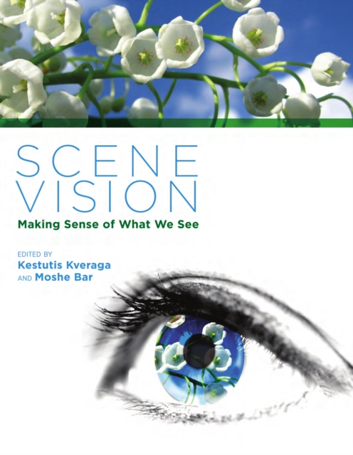 Scene Vision : Making Sense of What We See, PDF eBook