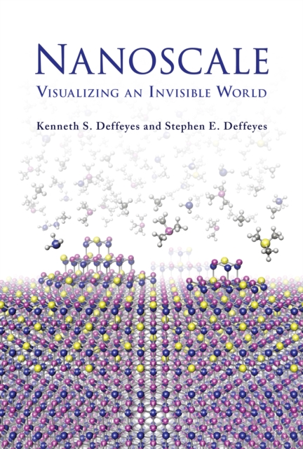 Nanoscale : Visualizing an Invisible World, PDF eBook