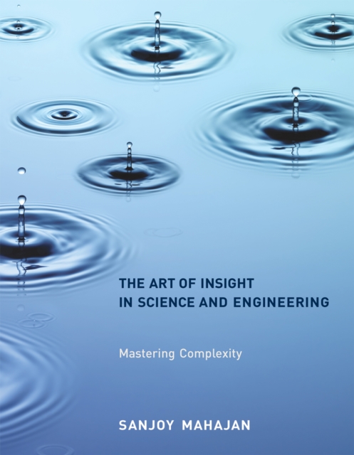 The Art of Insight in Science and Engineering : Mastering Complexity, PDF eBook