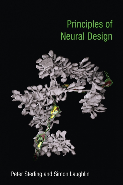 Principles of Neural Design, EPUB eBook