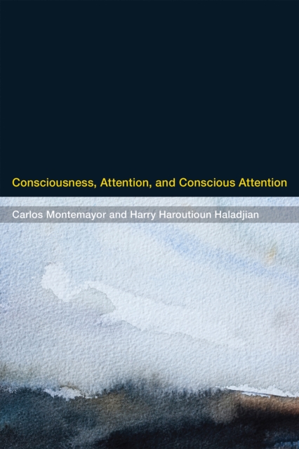 Consciousness, Attention, and Conscious Attention, PDF eBook