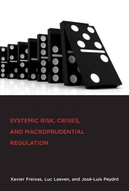 Systemic Risk, Crises, and Macroprudential Regulation, PDF eBook