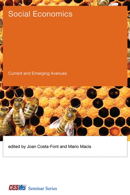 Social Economics : Current and Emerging Avenues, EPUB eBook