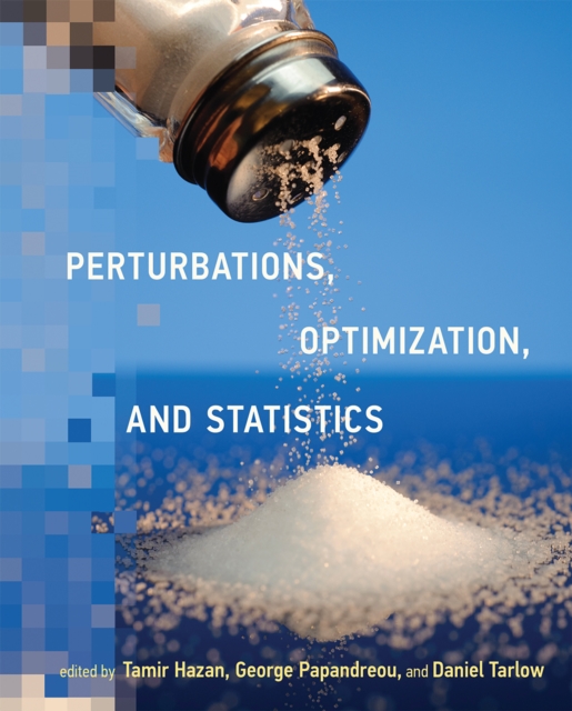 Perturbations, Optimization, and Statistics, PDF eBook