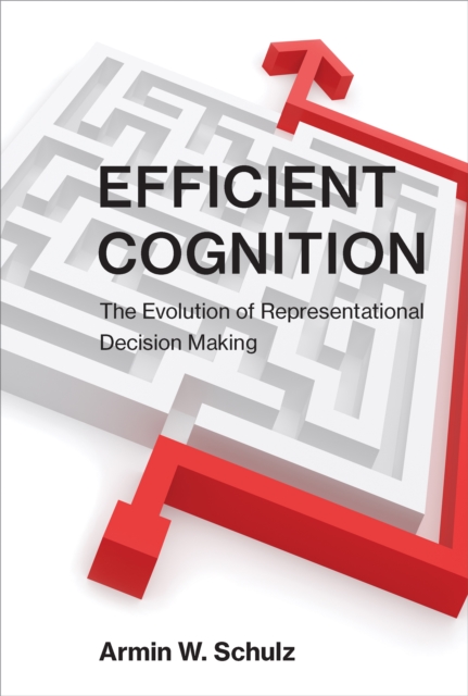 Efficient Cognition : The Evolution of Representational Decision Making, PDF eBook