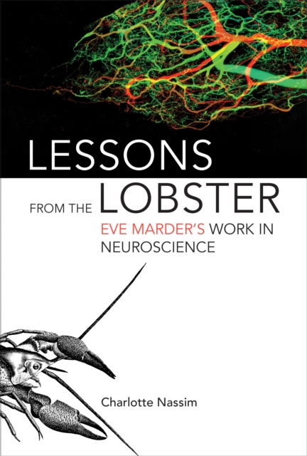 Lessons from the Lobster : Eve Marder's Work in Neuroscience, PDF eBook