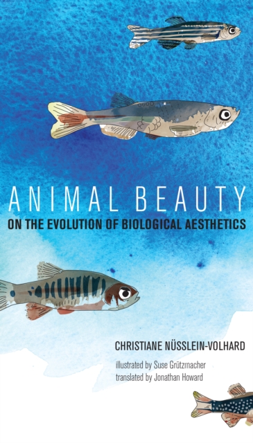 Animal Beauty : On the Evolution of Biological Aesthetics, PDF eBook