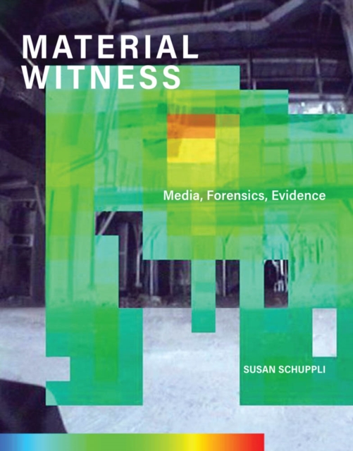MATERIAL WITNESS : Media, Forensics, Evidence, PDF eBook