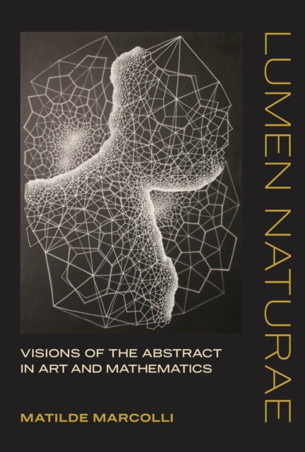 Lumen Naturae : Visions of the Abstract in Art and Mathematics, PDF eBook