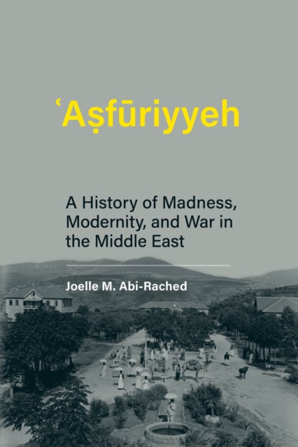 ?A?furiyyeh : A History of Madness, Modernity, and War in the Middle East, PDF eBook