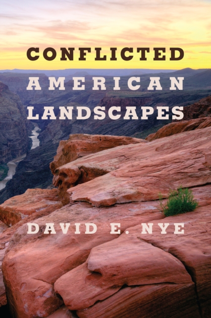 Conflicted American Landscapes, EPUB eBook