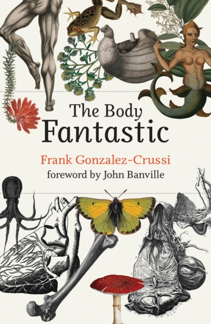The Body Fantastic, PDF eBook