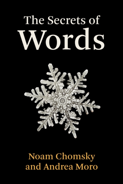 Secrets of Words, EPUB eBook