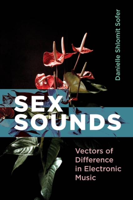 Sex Sounds : Vectors of Difference in Electronic Music, PDF eBook