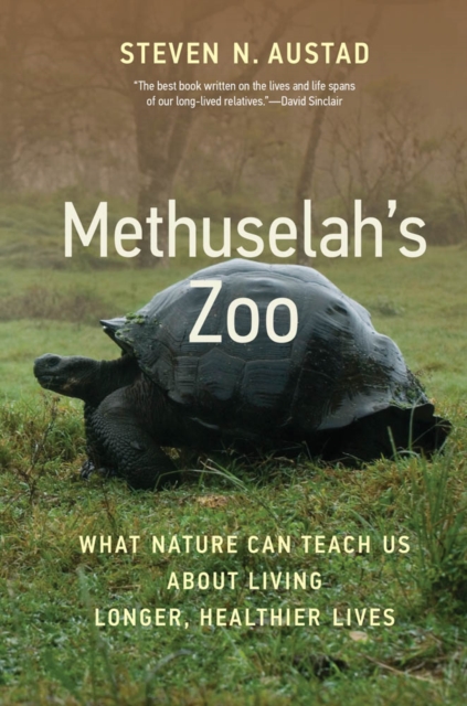 Methuselah's Zoo : What Nature Can Teach Us about Living Longer, Healthier Lives, PDF eBook