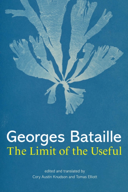 The Limit of the Useful, PDF eBook