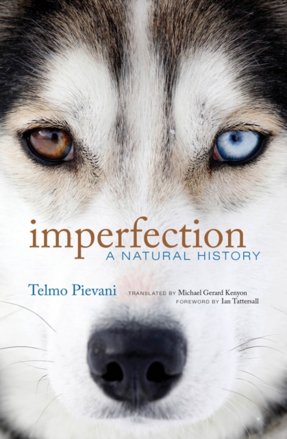 Imperfection : A Natural History, PDF eBook