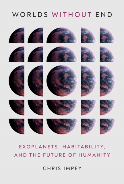Worlds without End : Exoplanets, Habitability, and the Future of Humanity, PDF eBook