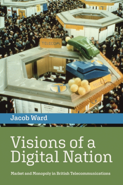 Visions of a Digital Nation, EPUB eBook
