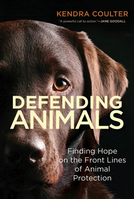 Defending Animals : Finding Hope on the Front Lines of Animal Protection, PDF eBook