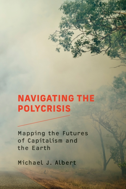 Navigating the Polycrisis, EPUB eBook