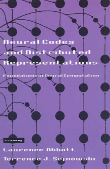 Neural Codes and Distributed Representations : Foundations of Neural Computation, Paperback Book
