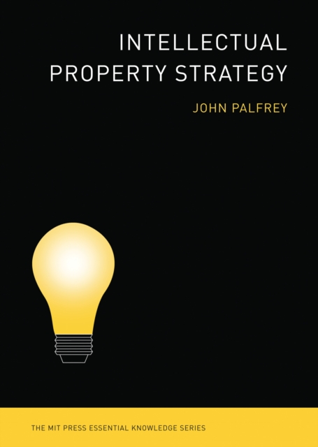 Intellectual Property Strategy, Paperback / softback Book