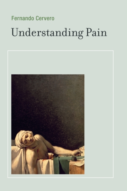 Understanding Pain : Exploring the Perception of Pain, Paperback / softback Book