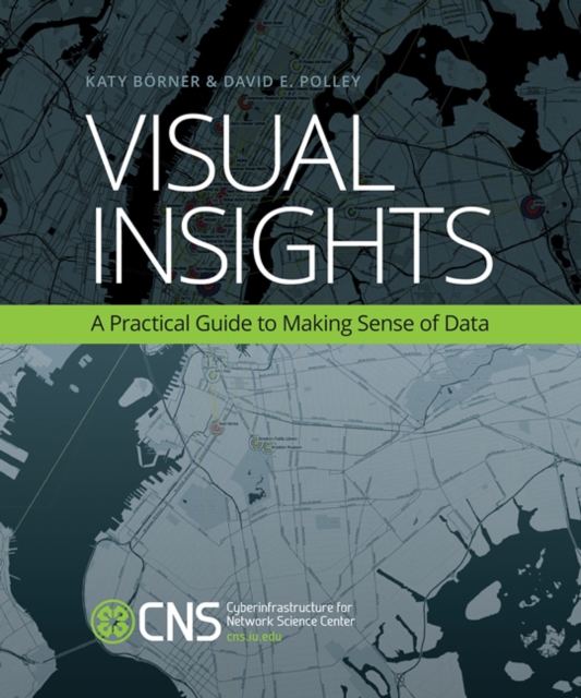 Visual Insights : A Practical Guide to Making Sense of Data, Paperback / softback Book