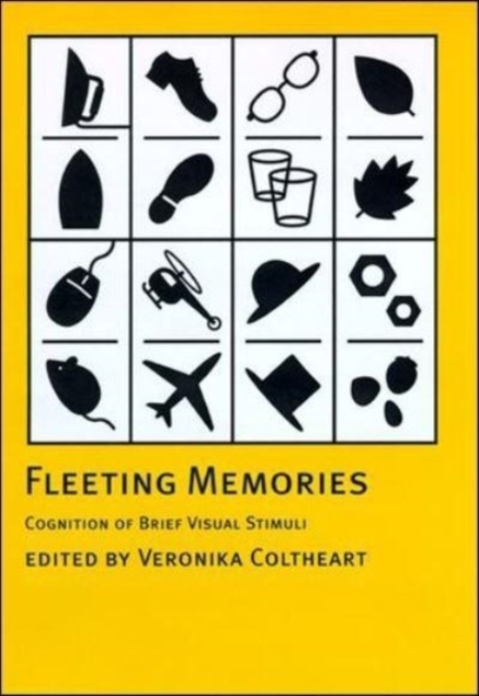Fleeting Memories : Cognition of Brief Visual Stimuli, Paperback / softback Book