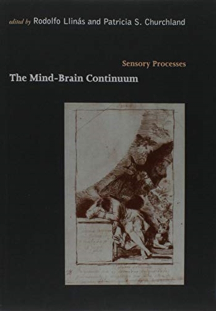 The Mind-Brain Continuum : Sensory Processes, Paperback / softback Book