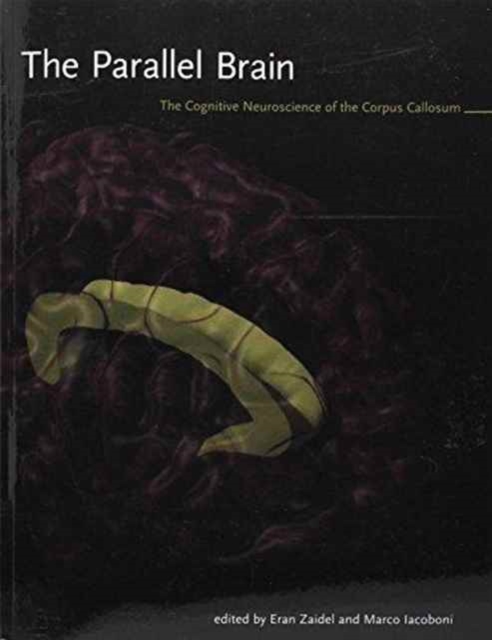 The Parallel Brain : The Cognitive Neuroscience of the Corpus Callosum, Paperback / softback Book