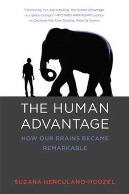 The Human Advantage : How Our Brains Became Remarkable, Paperback / softback Book