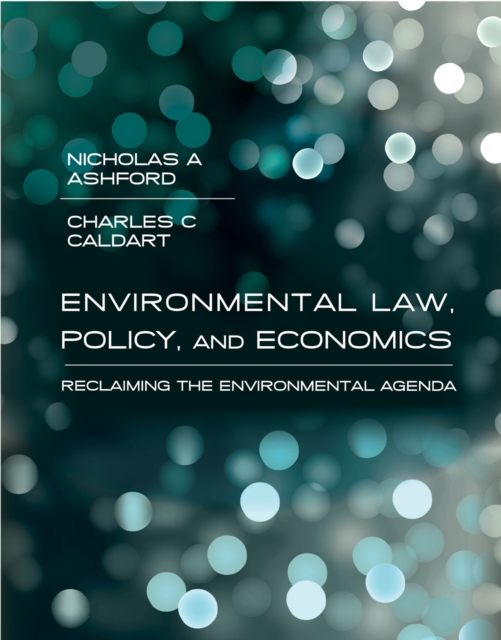 Environmental Law, Policy, and Economics : Reclaiming the Environmental Agenda, Paperback / softback Book