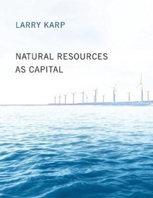 Natural Resources as Capital, Paperback / softback Book
