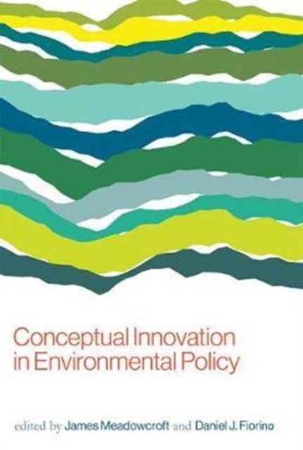 Conceptual Innovation in Environmental Policy, Paperback / softback Book