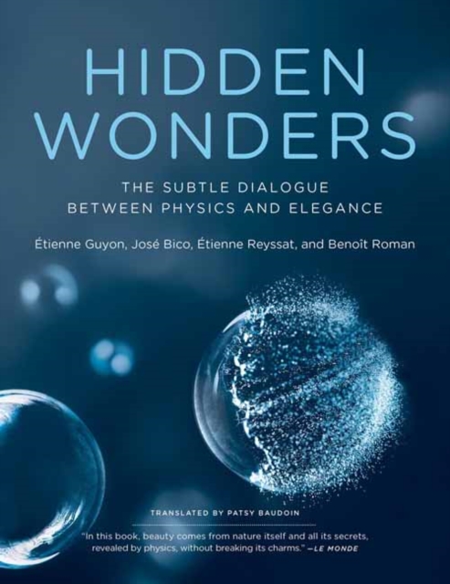 Hidden Wonders : The Subtle Dialogue Between Physics and Elegance, Paperback / softback Book