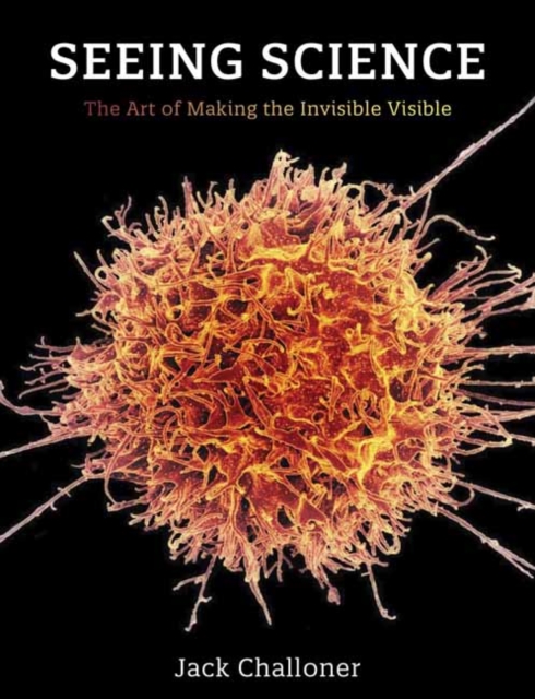 Seeing Science : The Art of Making the Invisible Visible, Paperback / softback Book