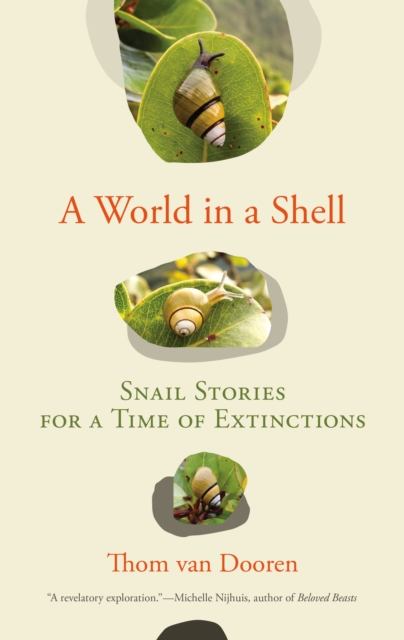 A World in a Shell : Snail Stories for a Time of Extinctions, Paperback / softback Book