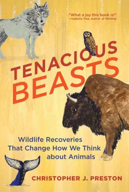 Tenacious Beasts : Wildlife Recoveries That Change How We Think about Animals, Paperback / softback Book