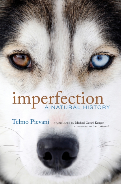Imperfection : A Natural History, Paperback / softback Book