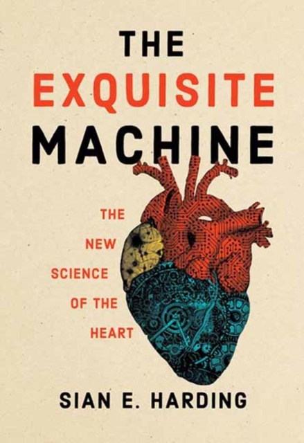The Exquisite Machine : The New Science of the Heart, Paperback / softback Book