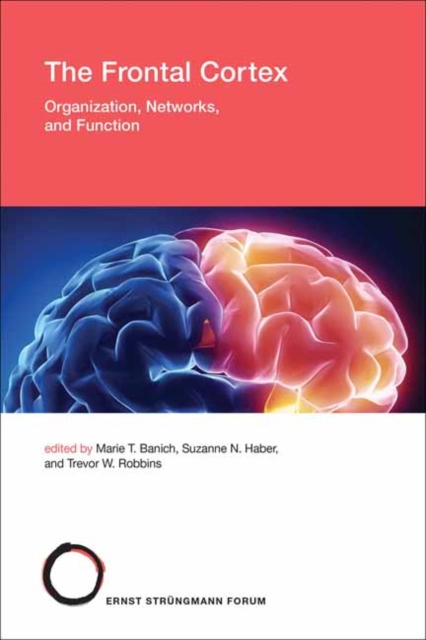 The Frontal Cortex : Organization, Networks, and Function, Paperback / softback Book