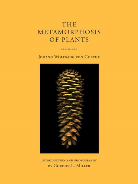 The Metamorphosis of Plants, Paperback / softback Book