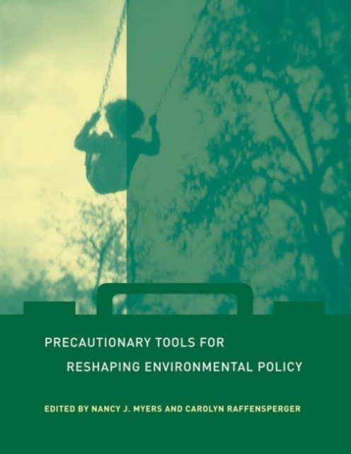 Precautionary Tools for Reshaping Environmental Policy, Paperback / softback Book