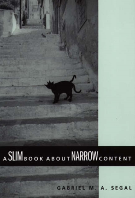 A Slim Book about Narrow Content, Paperback / softback Book