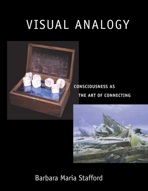 Visual Analogy : Consciousness as the Art of Connecting, Paperback / softback Book