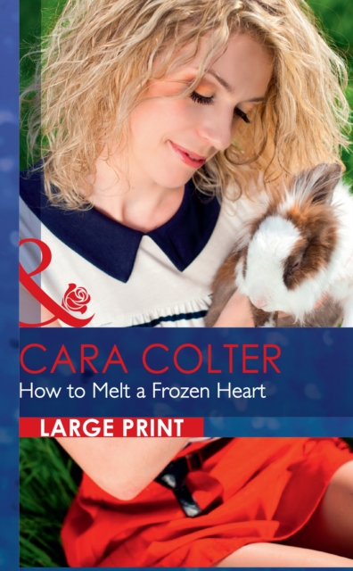 How to Melt a Frozen Heart, Hardback Book