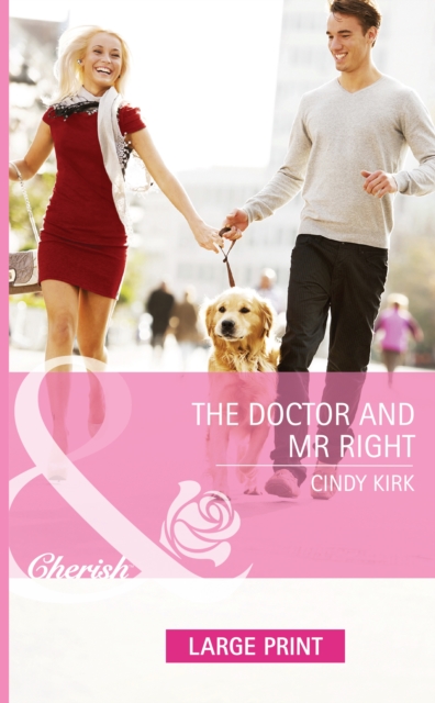 The Doctor And Mr Right, Hardback Book